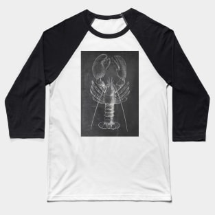 Lobster Chalkboard Baseball T-Shirt